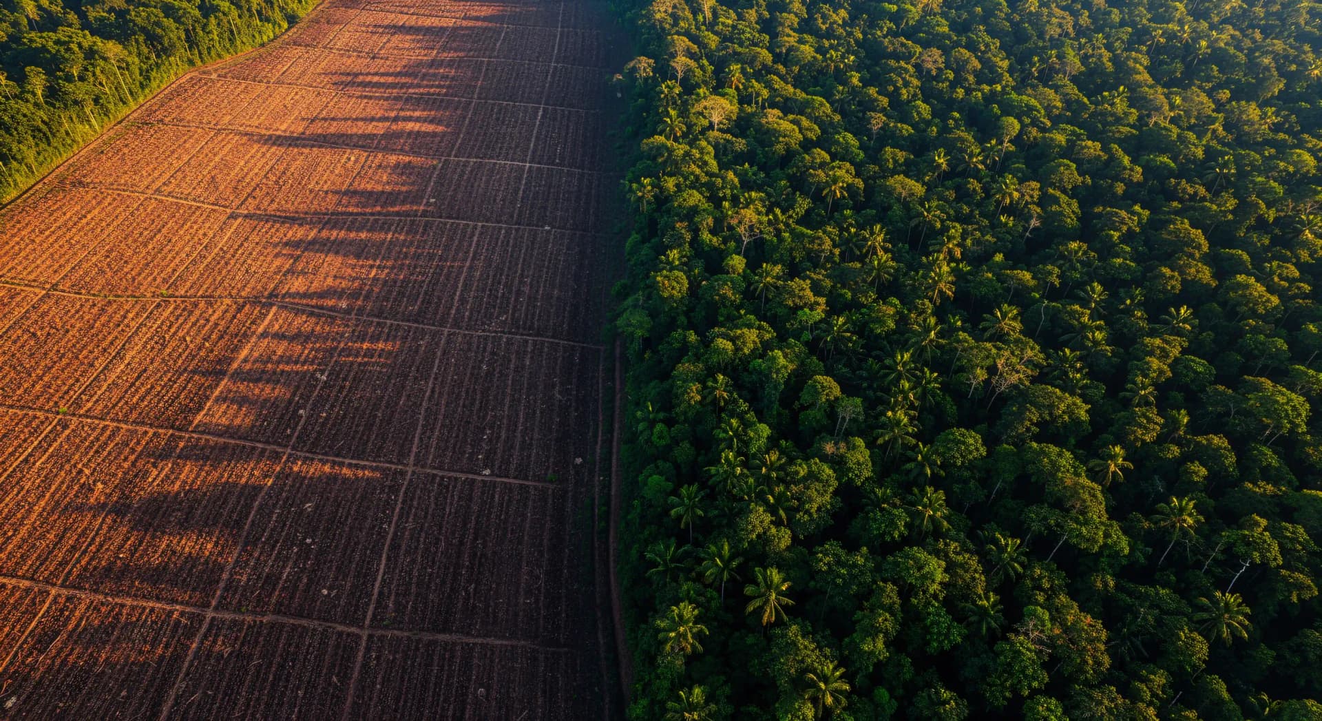 Règlement européen déforestation importée (EUDR)